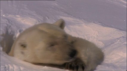 Pianeta Terra: da Polo Nord a Polo Sud.