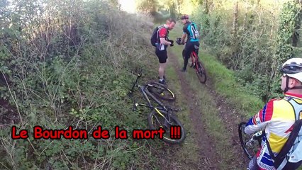Ardin 19/10/14