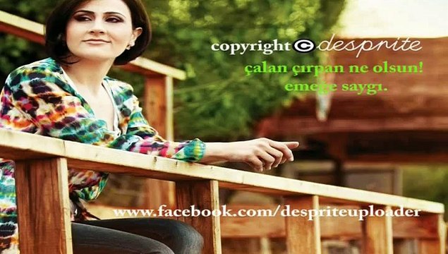 03 sercan direk şu karşıki dağda kar var duman yok 21.11.2014 arda boyları