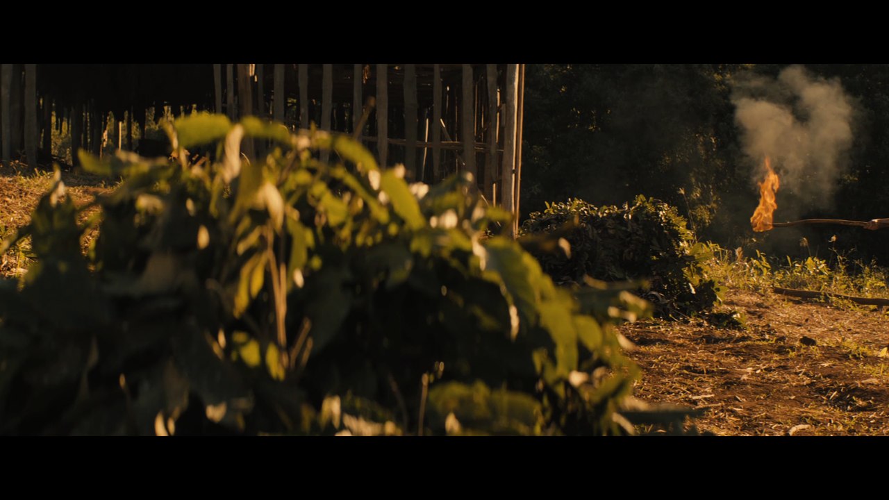 Ardor - Extrait (3) VO