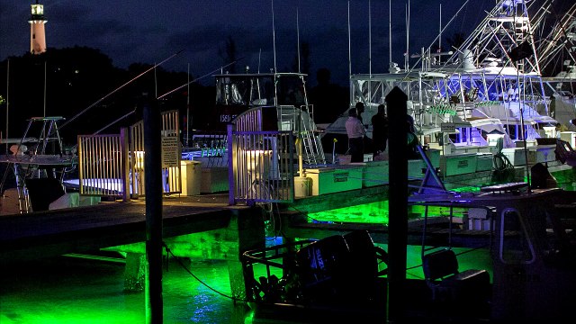 A&E Electrical Services LLC: Licensed Electrician, Landscape Lighting Services in Winter Garden FL