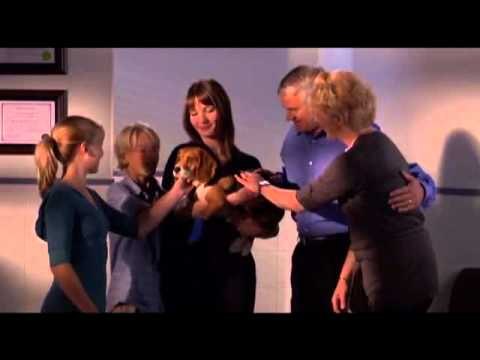 North American Pet Health Insurance Association