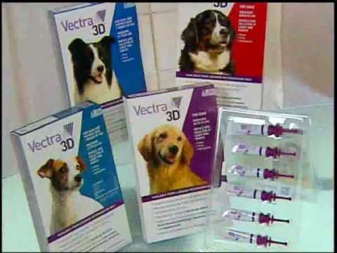 Safe & Effective Flea & Tick Care For Dogs & Cats