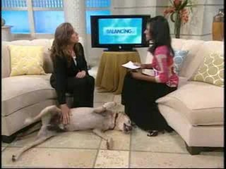 The Balancing Act Show 860 -  Vetmedica, Inc.