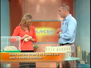 The Joys and Rewards of Small Pet Ownership