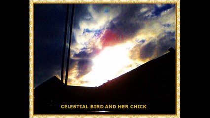 Celestial Bird and her Chick; Cloud Revelaton