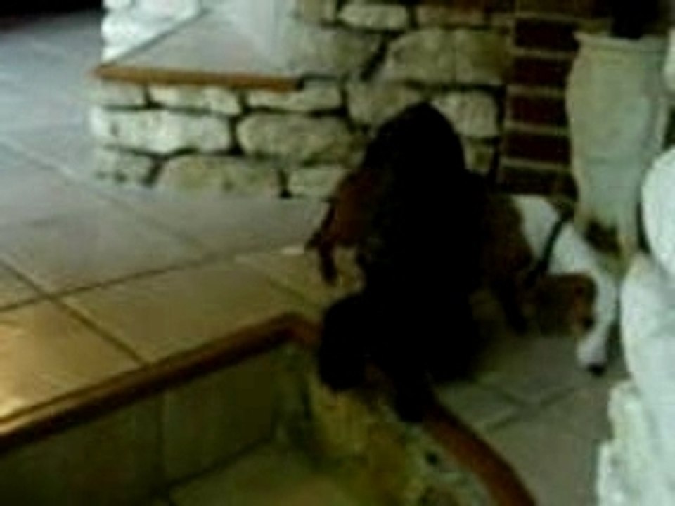 Chloé et Biloute complices