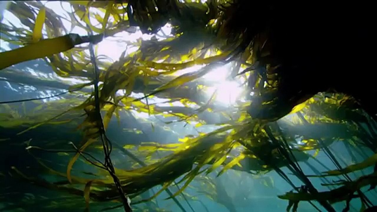 Nature Is Speaking – Julia Roberts is Mother Nature