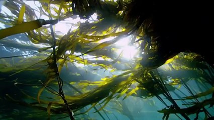 Nature Is Speaking – Julia Roberts is Mother Nature