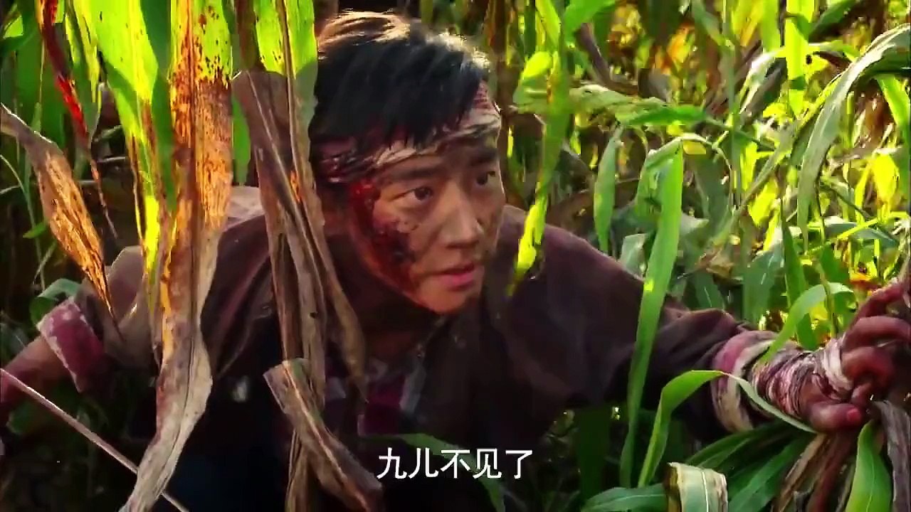 【九儿 - 胡莎莎演唱】