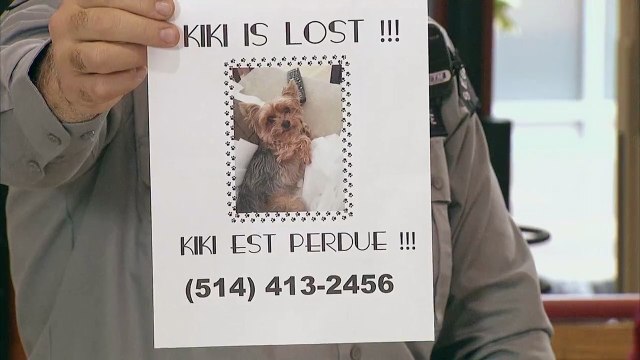 Tears of laughter She s Drowning In Her Own Tears