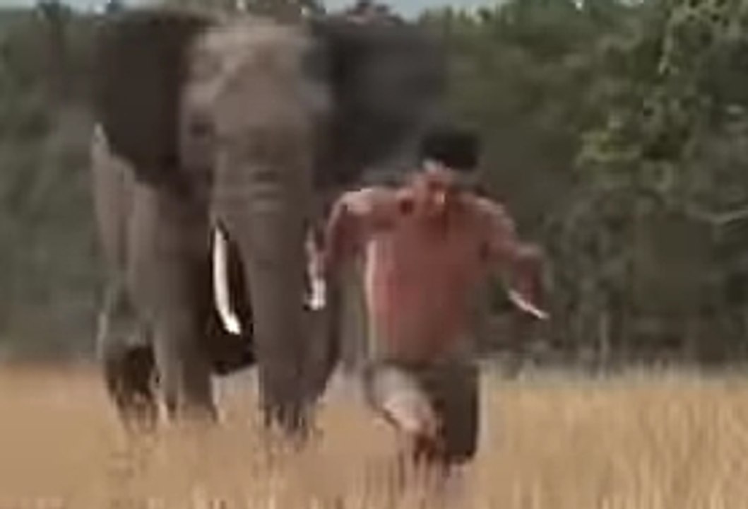 ELEPHANT ATTACK_ Chasing the truth with Andrew Ucles - Ucles vs Africa