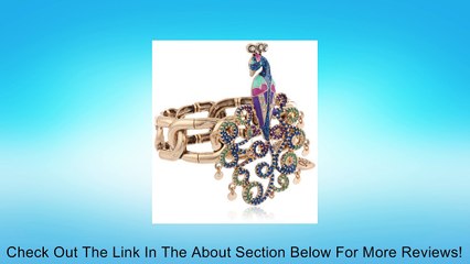 Betsey Johnson "Peacock" Stretch Bracelet, 7.5" Review