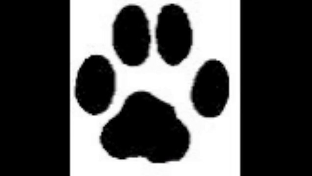 AN NOU CHANTE NWEL I