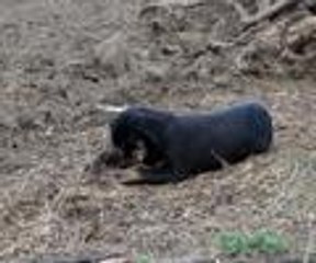 Annesi terk etti ama o sahip çıktı