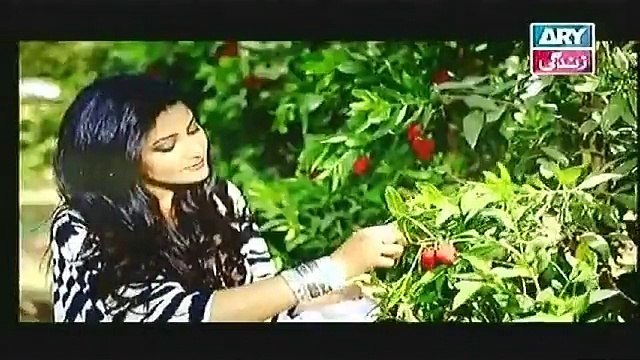 Naheed Ansari Show 22nd November 2014