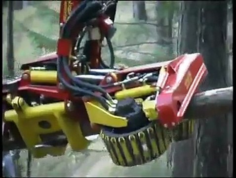 Ağaç kesmenin kısa yolu