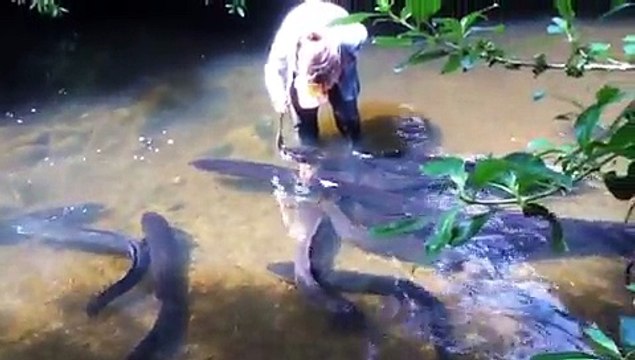 Bu kadın kafayı yemiş