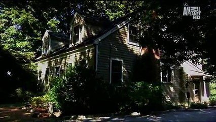 The Haunted - Invasion of the Poltergeist