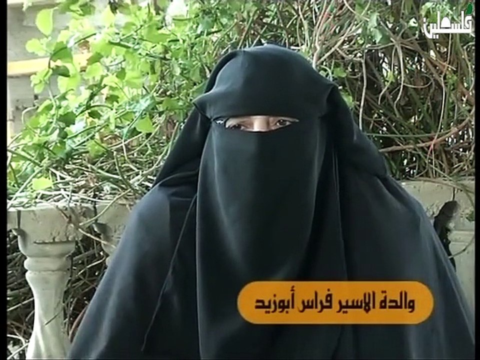 زرد السلاسل - 22/11/2014