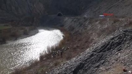 Hakkari'de Tır'ın Çarptığı Sürüde 30 Koyun Telef Oldu