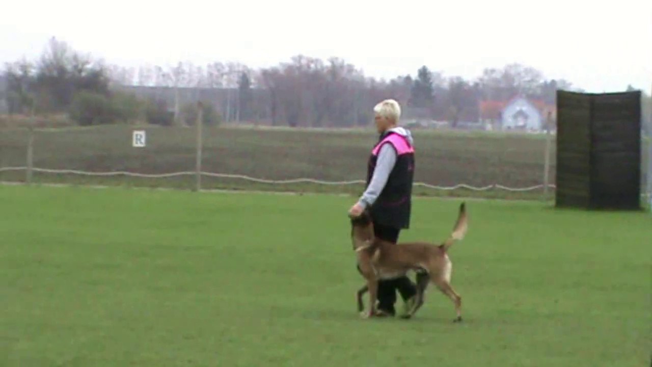 Be Aware F'Stieg @ BH-Prüfung