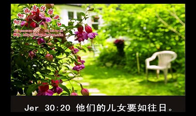 《和合本圣经视频》37a 耶利米书2