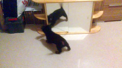 Helios et mon armoire salle de bain