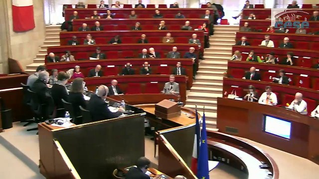 2-Les conseils économiques et sociaux face aux attentes de la société civile européenne - cese