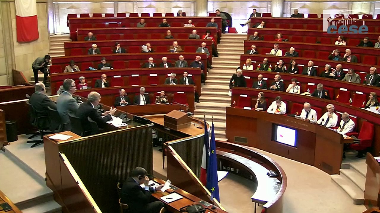 1-Les conseils économiques et sociaux face aux attentes de la société civile européenne - cese