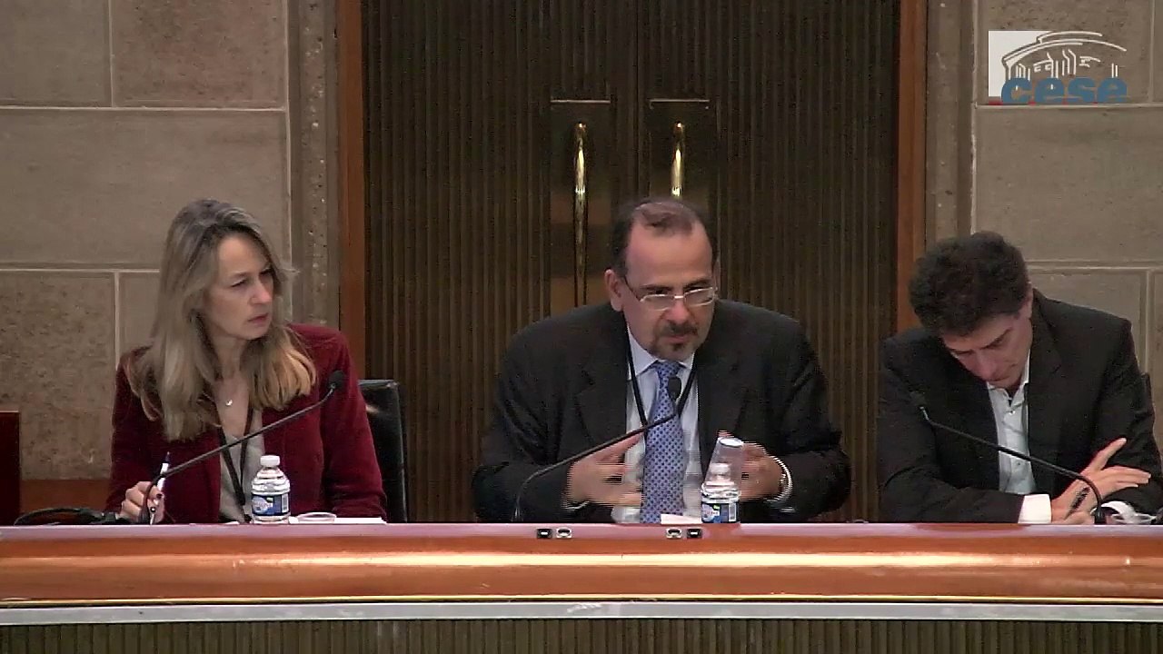 4-Les CES face aux attentes de la société civile européenne FR - cese