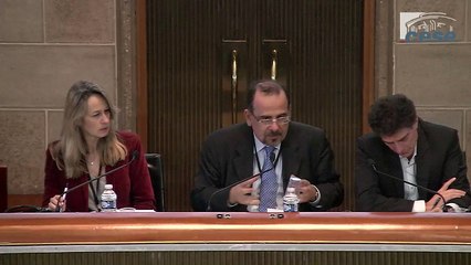 4-Les CES face aux attentes de la société civile européenne FR - cese