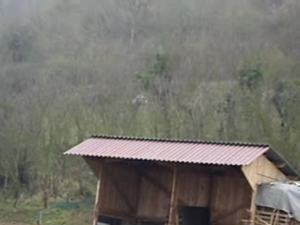 Océane, Vahinée et Nobilis galop