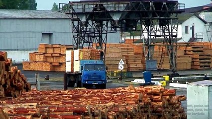 Türkiye'ye Gemlik ve Gebze teslim ahşap ithalati - Belgorod-Dnister port. Ukrayna inşaat için kereste ihracatı.
