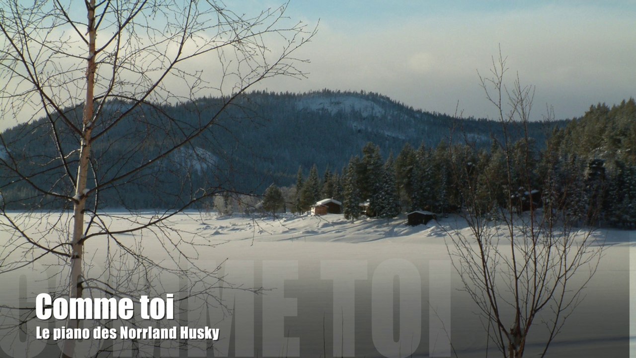 Comme toi, jean jacques goldman, version piano solo concert