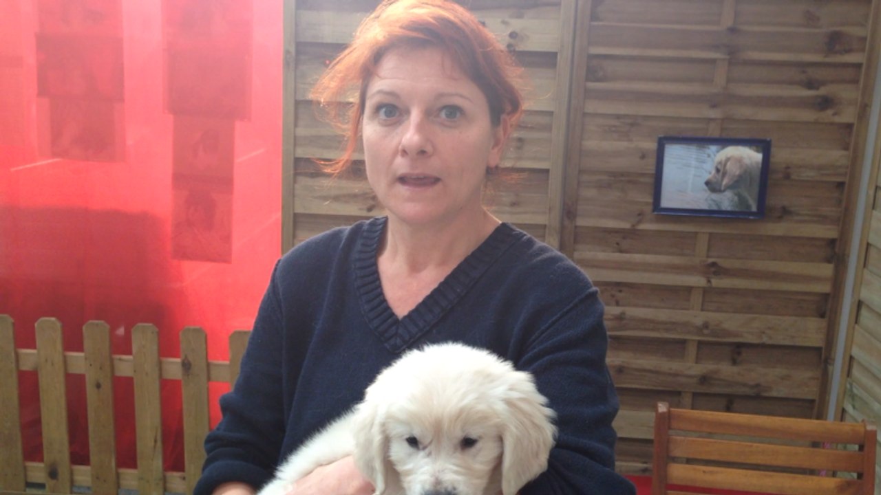 Salon chiot