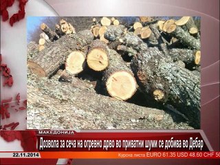 TV SPEKTRA VESTI 22.11