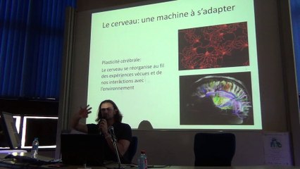 3 - Les dispositifs de suppléance perceptive : quels principes pour quelles implications ? par Alexandre Coutté - WUD2014 Use-Age
