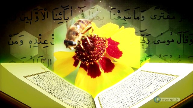 4-Dişi Bal Arısı Kur'an-ın Bilimsel Mucizeleri