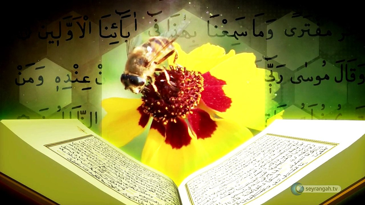 4-Dişi Bal Arısı Kur'an-ın Bilimsel Mucizeleri