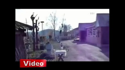 Ayıdan kurtulmak için ağaca çıktı ama video izle Haber - Mynet - Video