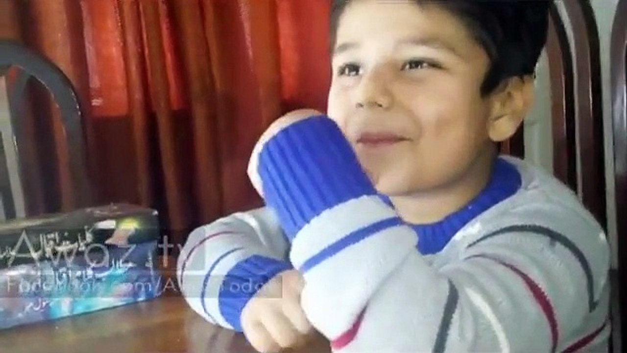 Shaheen of Iqbal Zidaan Ahmed Slams Anti Iqbal Media