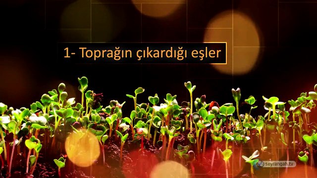 18-Yaratılıştaki Çiftler Kur'an-ın Bilimsel Mucizeleri