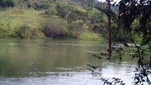 Canoagem, Rio Paraíba do Sul, nível 4, trecho Paraibuna, SP, Brasil, Marcelo Ambrogi, Trecho de descida e subida de 10 km, remada dupla, Aventura na Natureza Selvagem do Rio e das cachoeiras ao longo do percurso até a Cidade de Paraibuna, parte 46