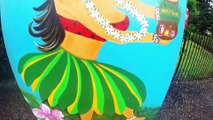Hawaii Vacation Reel -GoPro Hero3+ DJI Phantom 2 H3-D3