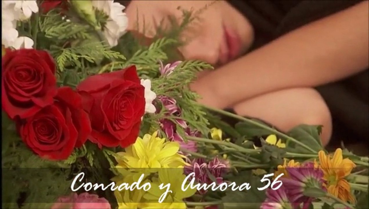 Conrado y Aurora 56 (resumen semanal)