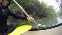 Canoagem, Rio Paraíba do Sul, nível 4, trecho Paraibuna, SP, Brasil, Marcelo Ambrogi, Trecho de descida e subida de 10 km, remada dupla, Aventura na Natureza Selvagem do Rio e das cachoeiras ao longo do percurso até a Cidade de Paraibuna, parte 29