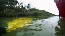 Canoagem, Rio Paraíba do Sul, nível 4, trecho Paraibuna, SP, Brasil, Marcelo Ambrogi, Trecho de descida e subida de 10 km, remada dupla, Aventura na Natureza Selvagem do Rio e das cachoeiras ao longo do percurso até a Cidade de Paraibuna, parte 22