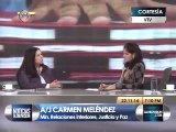 Meléndez: No hay improvisación en leyes habilitantes