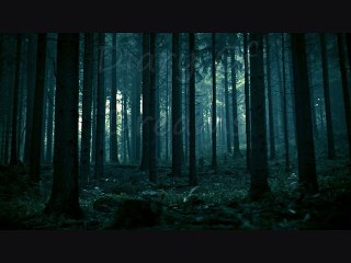 Diary Of Dreams - She And Her Darkness